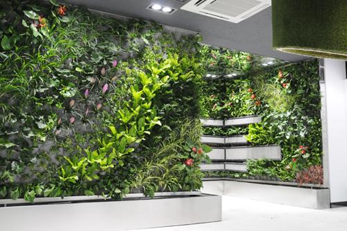 立體植物墻