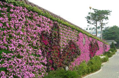 立體綠化植物墻