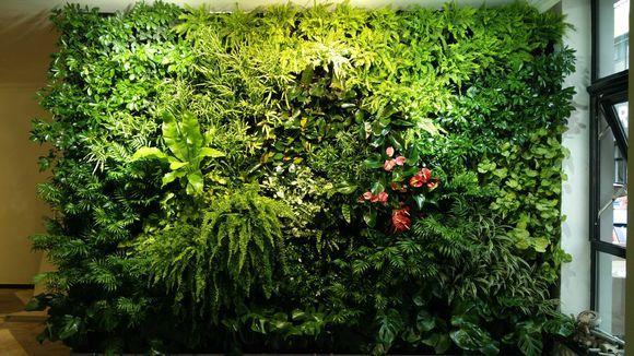 植物墻后期養(yǎng)護(hù)