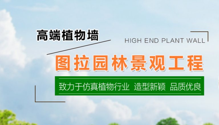 植物墻在家裝環(huán)境中的應(yīng)用