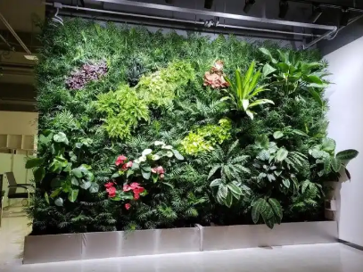 重慶仿真綠植大型植物詳解